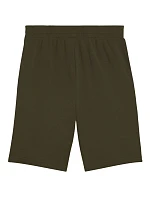 Pánské šortky M 684715 70 tmavě zelené - Puma Pánské šortky M 684715 70 tmavě zelené - Puma