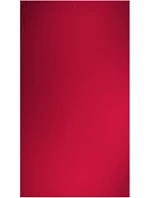 The One Towelling Recycled 100 Plážový ručník "Recycled" 48.1061 bandera red