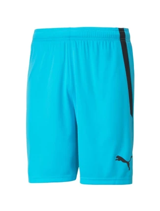 Šortky Puma teamLIGA M 704924 40 Šortky Puma teamLIGA M 704924 40