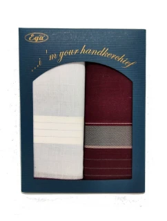 Pánský kapesník Ega CH-840 A'2