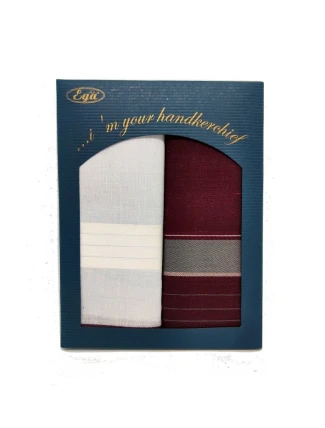 Pánský kapesník Ega CH-840 A'2