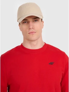 Pánská mikina 4F 4FWMM00TSWSM1767-062S s kapucí bez svetru