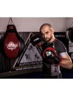 Boxerské rukavice 10oz - Blaze Red - Legacy Series