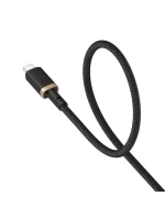 Kabel Baseus Dura Type C 20W 2m (černý/zlatý)