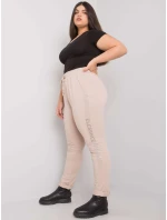 Tepláky RV DR 6897.53 béžové