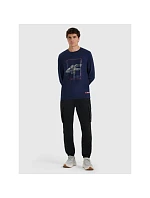 Pánské tričko s potiskem a dlouhým rukávem 4F 4FRAW25TLONM606-31S pánské