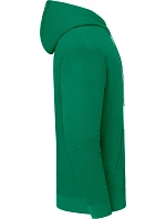 Fruit of the Loom Iconic 250 Hooded Sweat Mikina s kapucí 16.2294 college green Fruit of the Loom Iconic 250 Hooded Sweat Mikina s kapucí 16.2294 college green