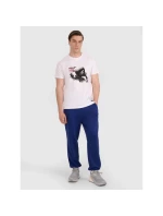 Pánské volejbalové tričko s potiskem 4F 4FRAW25TTSHM3235-10S