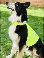Korntex KTH100 – Buenos Aires Bezpečnostní vesta pro psy 76.KTH1 hi vis yellow Korntex KTH100 – Buenos Aires Bezpečnostní vesta pro psy 76.KTH1 hi vis yellow