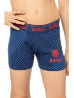 CHLAPECKÉ BOXERKY 232014