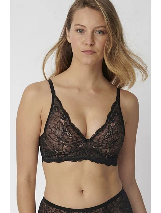 Soft model 229993 Triumph