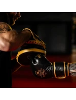 Vícevrstvé boxerské rukavice - ProFighter Gold - Legacy Series Vícevrstvé boxerské rukavice - ProFighter Gold - Legacy Series