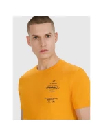 Pánské tričko s potiskem 4F 4FRSS25TTSHM2688-70S