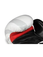 Boxerské rukavice 10oz - Japonsko - Valor Series