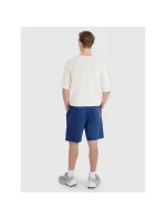 Pánské šortky Regular fit SHOM543-031S modré - 4F