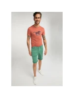 Pánské tričko Aaron C Print M 1009522 7103 - Mustang Pánské tričko Aaron C Print M 1009522 7103 - Mustang