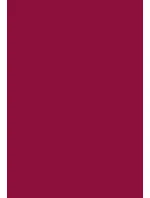 Dámské ponožky 073 - Steven