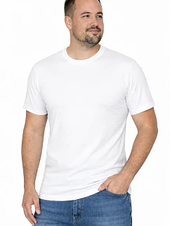 Pánské tričko Heavy 21172-20-3XL