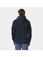 Helly Hansen Core Graphic Sweat Hoodie M 53924 596