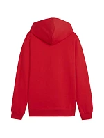 Mikina Puma Team Goal Casuals Hoddy Jr 658619 01