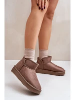 Dámské Sněhule Na Platformě D.Franklin DFSH370010 Taupe