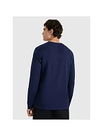 Pánské tričko s potiskem a dlouhým rukávem 4F 4FRAW25TLONM606-31S pánské