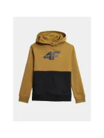 Mikina 4F Jr 4FJAW23TSWSM628-74S