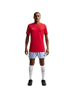 Pánské tričko Nike Dri-Fit Park 26 SS Top červené HM7127 657 pánské