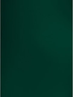 The One Towelling Recycled 100 Plážový ručník "Recycled" 48.1061 bottle green