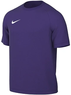 Pánské tričko Dri-Fit Park VIII HV8173 547 fialové - Nike