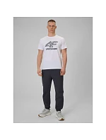 Pánské tričko s potiskem 4F 4FRAW25TTSHM3611-10S