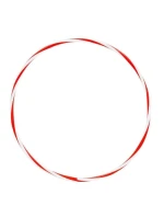 Obruč na kolečkách HP-DT2024 61 cm