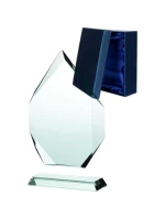 Skleněná trofej s matným podstavcem a pouzdrem