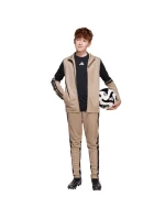 Kalhoty adidas Squadra 25 Training Jr JP3371