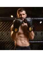 Boxerské rukavice 10oz - Hammer Gold - Legacy Series