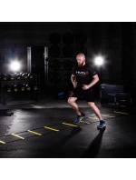 Koordinační žebřík 6m HMS Premium DK06