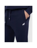 Pánské tepláky typu jogger 4F 4FRMM00TTROM1624-31S