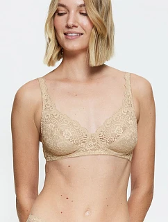 Soft model 229878 Triumph