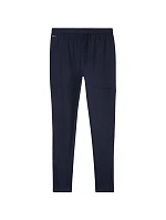Pánské kalhoty Puma Team Goal Slim Training navy blue 659037 06
