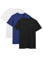 Pánské tričko (sada 3 triček) 4F 3P-SS-4FWMM00TTSHM2256-92S 3PAK