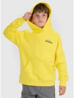 Chlapecká mikina 4F Chlapecká mikina 4F