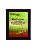 Plastový diplom s barevným dotykovým laminátem Plastový diplom s barevným dotykovým laminátem