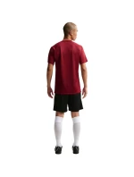 Nike Dri-Fit Park VIII pánské tričko bordó HV8173 677 pánské