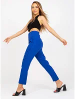 Kalhoty BR SP 219.71 kobalt Kalhoty BR SP 219.71 kobalt