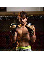 Boxerské rukavice 8oz - Hawk - Origin Series