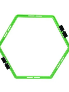 Koordinační síť HMS SKR06