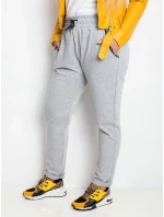 Tepláky RV DR 4765.52 šedá Tepláky RV DR 4765.52 šedá