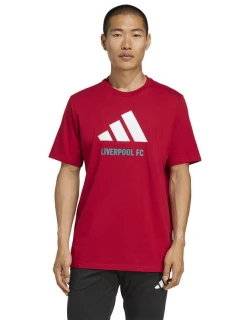 Adidas Liverpool FC Sezónní tričko DNA Graphic Tee 2 JY3466