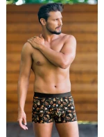 Italian Fashion John barva:whiskey print