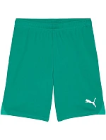 Pánské šortky Puma Team Goal zelené 705752 05